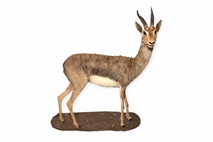 Image description is not available for 2013.1.3